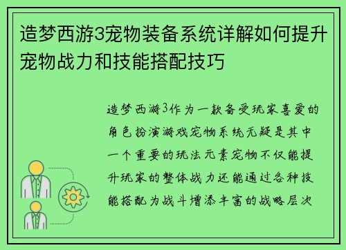 造梦西游3宠物装备系统详解如何提升宠物战力和技能搭配技巧